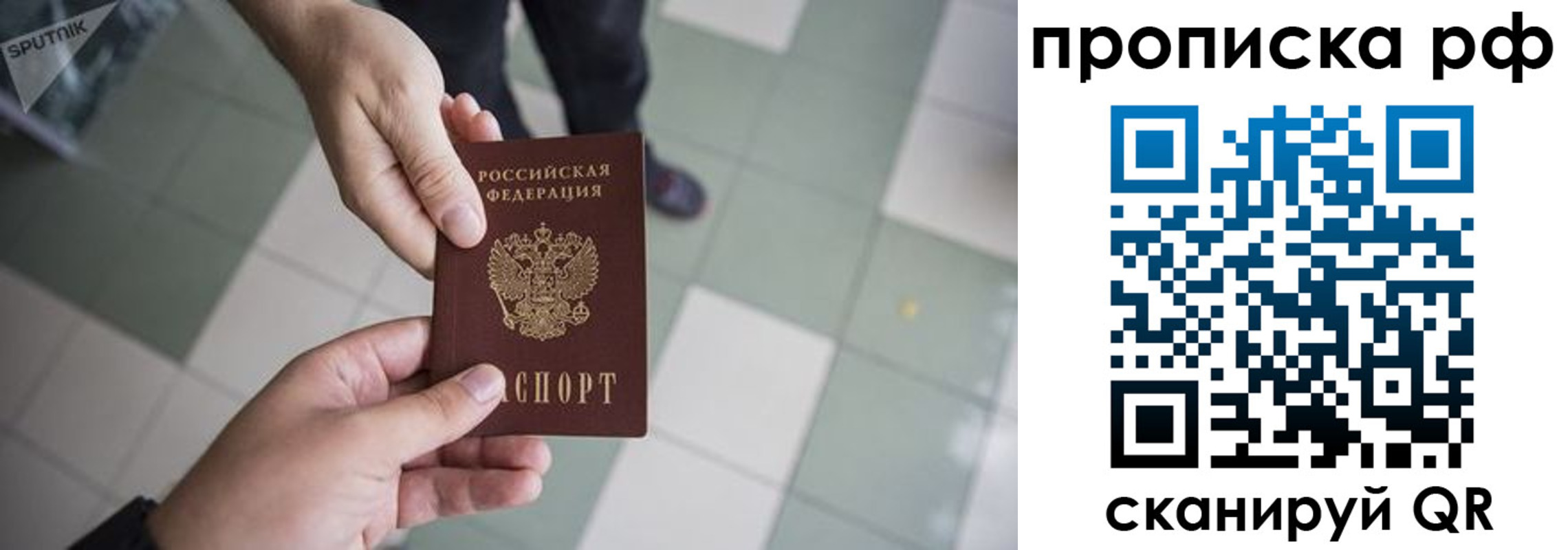прописка гарантия в Камчатской области