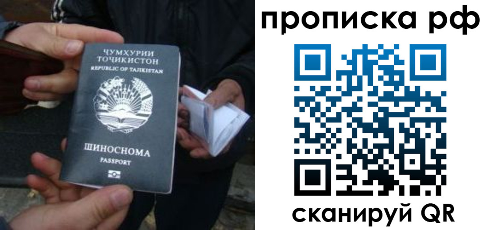 форма 3 в Камчатской области